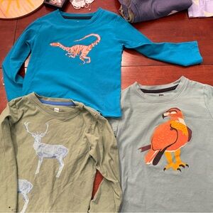 Tea Collection bundle Long Sleeve Tees